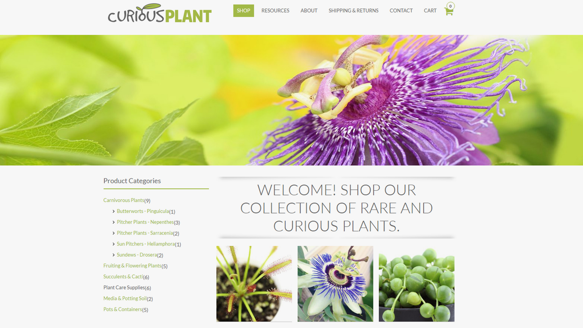 Curious Plant - eCommerce Website